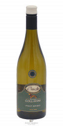 Pinot Grigio DOC Villa Canlungo