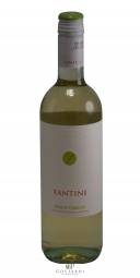Pinot Grigio IGT Fantini