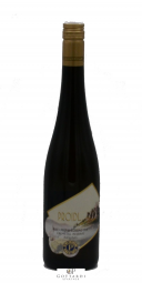 Riesling Ried Pfeningberg DAC Reserve 1. ÖTW